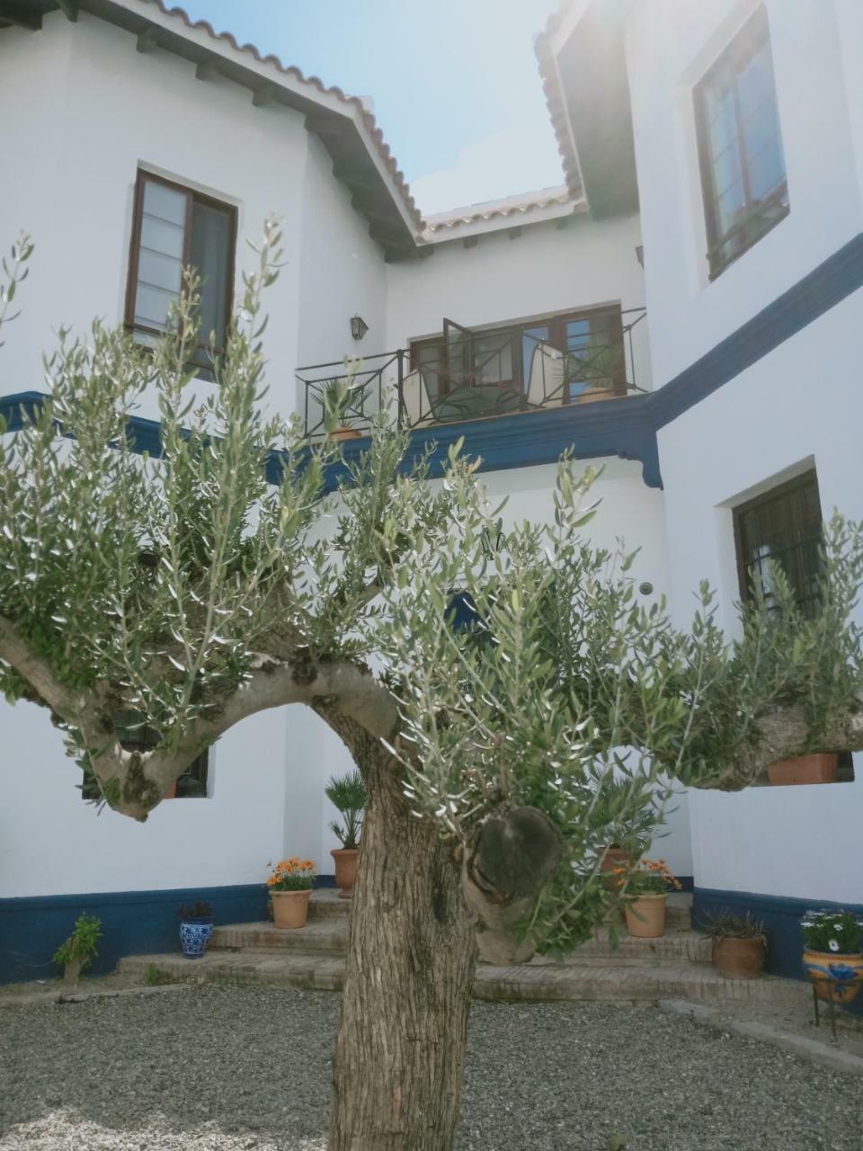 El Cielo Azul Bed & Breakfast Алора Екстериор снимка